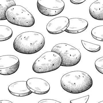 Potatoes vegetable graphic black white seamless pattern sketch vector Stock Illustration