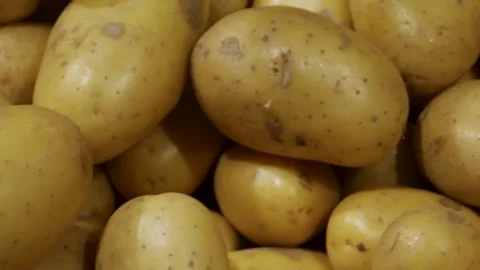 Potatoes. Washed potatoes in close-up. The smooth flight of the camera Stock Footage 314979019