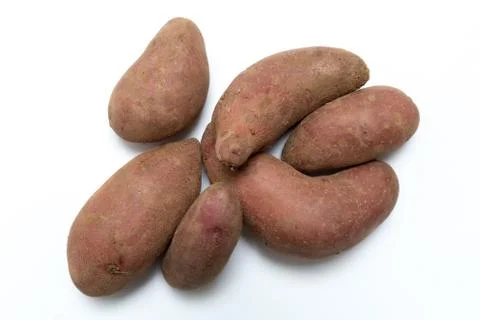 Potatoes on white background concept Stock Photos