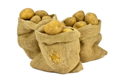 Potatoes on a white background Stock Photos