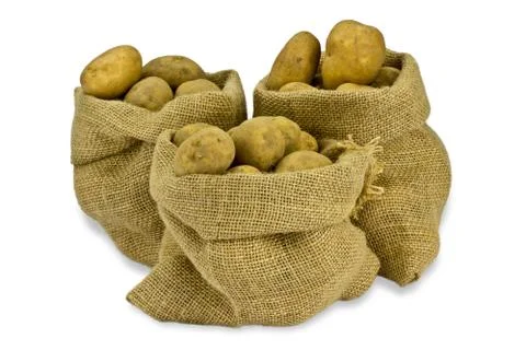 Potatoes on a white background Stock Photos