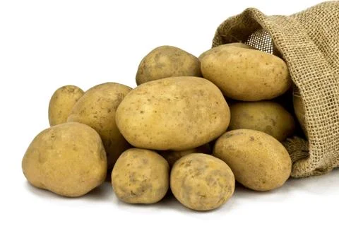 Potatoes on a white background Stock Photos
