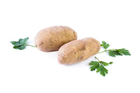 Potatoes on a white background. Stock Photos