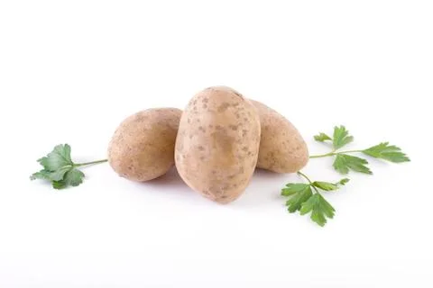 Potatoes on a white background. Stock Photos