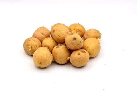 Potatoes on a White Background Stock Photos
