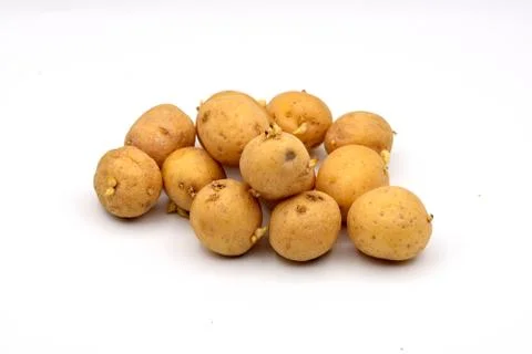 Potatoes on a White Background Stock Photos