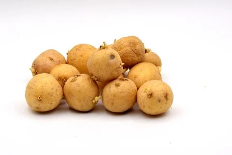 Potatoes on a White Background Foto stock
