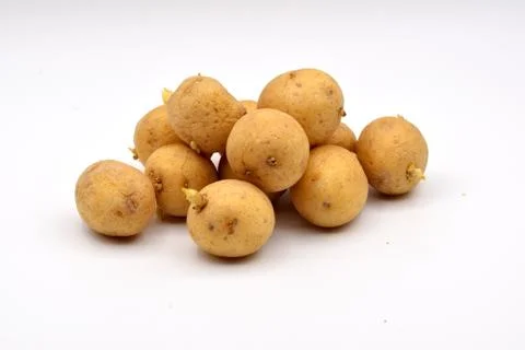 Potatoes on a White Background Stock Photos