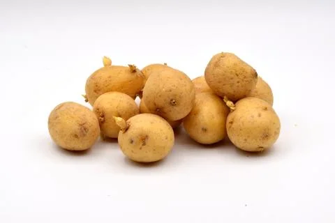 Potatoes on a White Background Foto stock