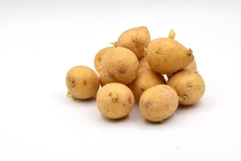 Potatoes on a White Background Stock Photos