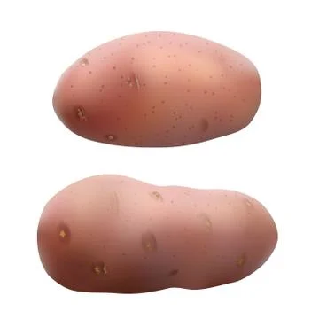 Potatoes on white Stock Illustration