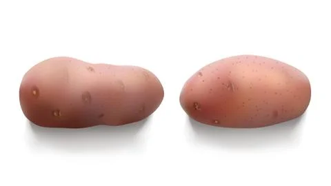 Potatoes on white with shadows Stock Illustration