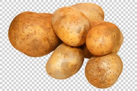 Potatoes without background. Group of raw potatoes. Stock Photos