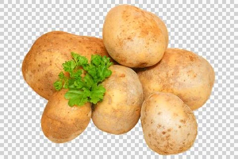 Potatoes without background. Group of raw potatoes with parsley. Stock Photos