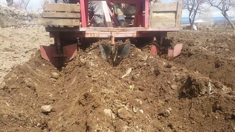 Potatoes work Stock Footage 106575408