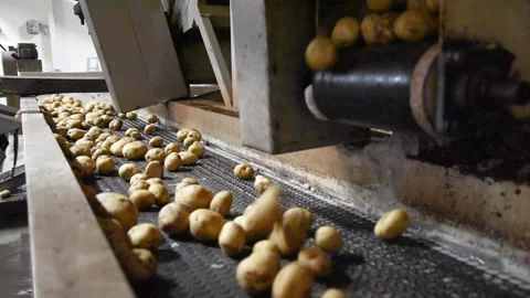 PotatoesHD01 Stock Footage 168363869