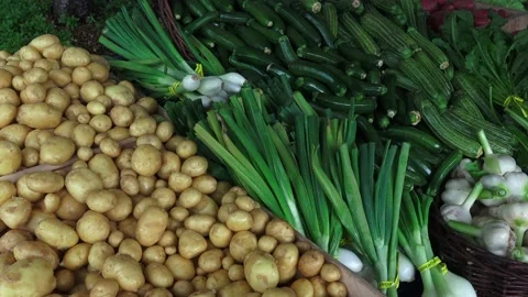 Potatos Stock Footage 147632311