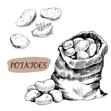 Potatos Stock Illustration