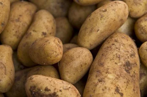 Potatos Stock Photos