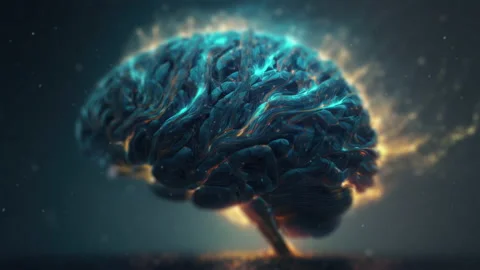 Potential of Artificial Intelligence Neural Networks and Big Data Analysis in Stock Footage 231413541