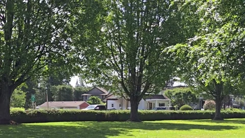 Potential Strike by Canada Border Services Agency Agents and Staff Stockbeeldmateriaal 276917392