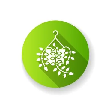 Pothos green flat design long shadow glyph icon. Devils ivy. Epipremnum aureu Illustrazione stock