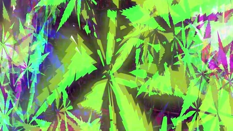 PotLeaf 1 Stock Footage 163775434