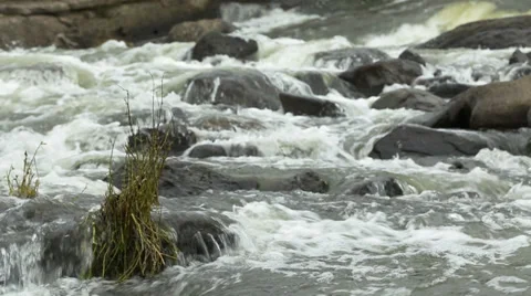 Potomac Rapids Medium Close Up in Fall Stock Footage 32220495
