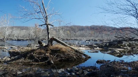 Potomac River in autumn 스톡 동영상 82980927