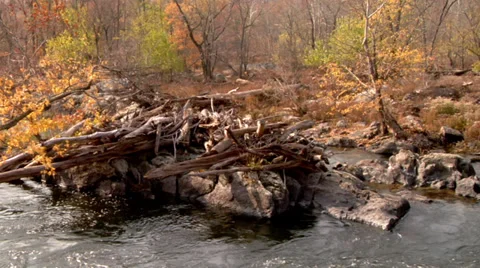 Potomac River on the Maryland side. Stock Footage 38876201
