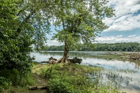 Potomac River Stock Photos