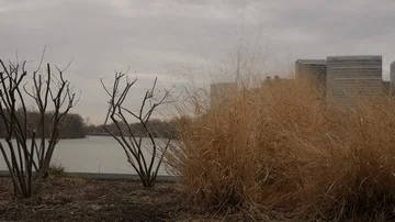 Potomac River Slide Stock Footage 85668196