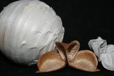 Potpourri in Arrangement Foto stock