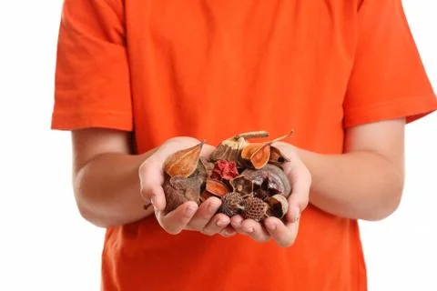 Potpourri Stock Photos