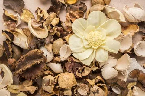Potpourri Stock Photos