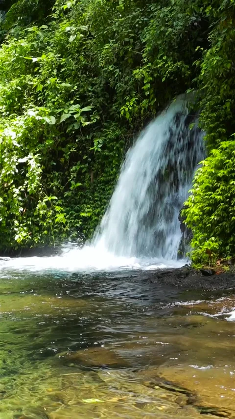 Potrait sumber 7 Stock Footage 170888254