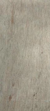 Potrait wallpaper Stockfoto's