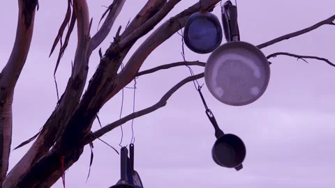 Pots and Pans Hanging from Tree Branches Against Cloudy Sky Stock Footage 332786585