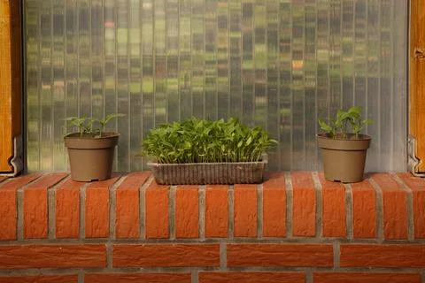 Pots and rectangular shape with plants between wooden poles Stockfoto's