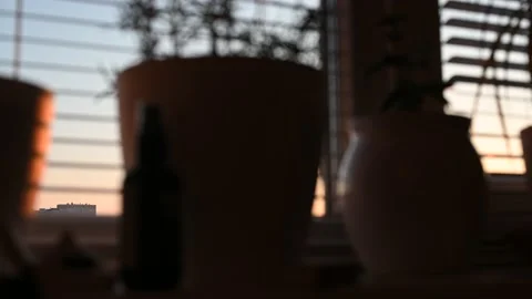 Pots with flowers on a window with blinds with the dawn sun. Smooth camera pan Stock Footage 220820811