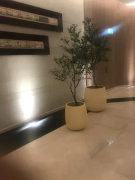 The pots kept in the hotel Stock Photos