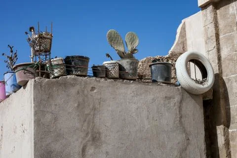 Pots with plants on the wall Stock Photos