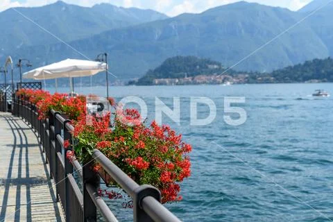 Pots with red pelargonium flowers in full bloom on the edge of Lake Como Stock Photos