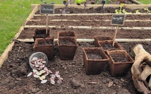 Pots for seedlings Stock Photos