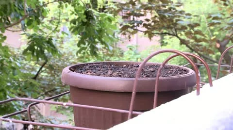 Pots with soil Stock Footage 11165558