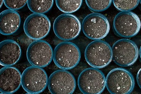 Pots with soil, ready for use Stock Photos