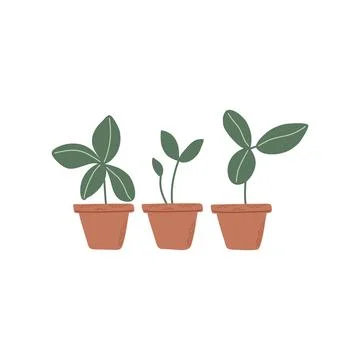 Pots with sprouts Stock Illustration