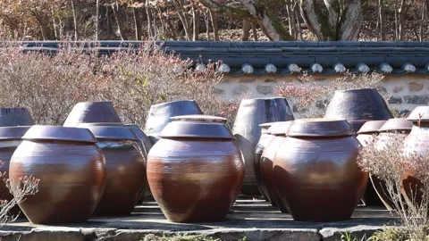  pots in the temple at mountain Video stock 303884669