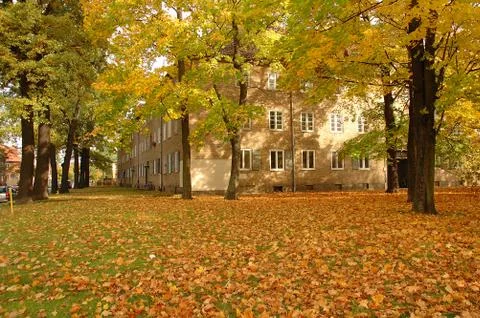 POTSDAM, GERMANY - OCTOBER 20: Building and autumn leaves somewhere in Potsda Stock Photos