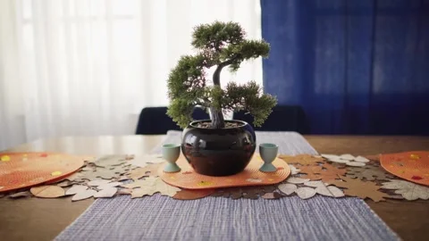 Potted artificial bonsai tree and egg cups stand on a wooden dining table. 스톡 동영상 346911318